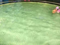 -BK博·康健身(金地格林小镇店)