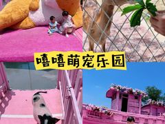 -渔岛海洋度假区