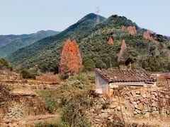 -鹿亭中村