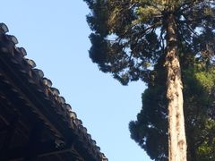 -白帝城·瞿塘峡景区
