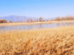 -野鸭湖国家湿地公园