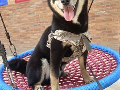 -纳吉亚猫专科动物诊疗中心(蒋宅口分院)