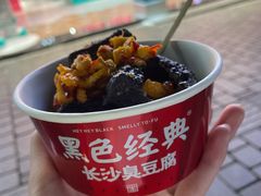 -黑色经典臭豆腐·湖南特产(坡子街店)