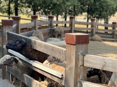 -萍乡武功山风景名胜区