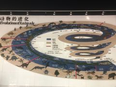 -昆明动物博物馆