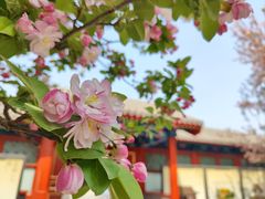 -恭王府博物馆