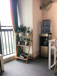 -Doris多里斯半永久纹眉·SMP纹发·发际线