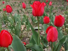 -长春公园(普阳街道)