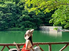 -龙道沟景区