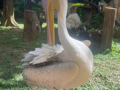 -熊猫自助餐厅.萌趣城堡(长隆熊猫酒店)