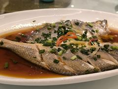 -乾隆美食·本帮菜(黄河路店)