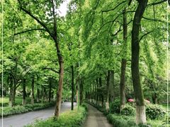 -杭州植物园