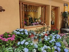 -溪岸路花鸟市场