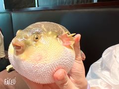 -永安鱼庄·镇江菜(东吴路店)