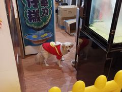 -元氏钵仔糕(北京路店)
