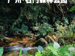-广州市石门国家森林公园