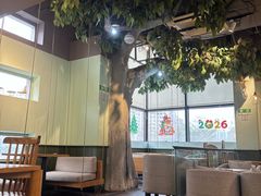 -仙踪林(惠润广场店)