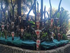 -云南民族村