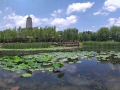 -舍利塔滩地公园-无垢净光舍利塔
