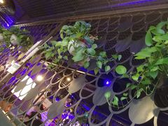 -问渔烤鱼(回龙观总店)