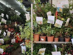 -园圃街雀鸟花园