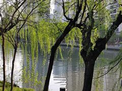 -苏州河梦清园环保主题公园