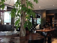 iphone_upload_pic-植物园哈利亚餐厅