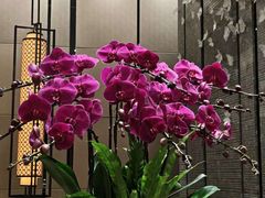 -昆明洲际酒店