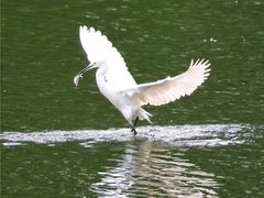 -重庆彩云湖湿地公园