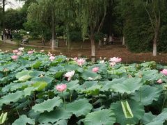 -白塘生态植物园