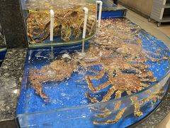 -海景壹号大酒店(惠钱路店)