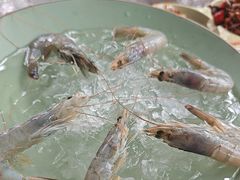 -巴倒烫陆派火锅山庄(南山总店)