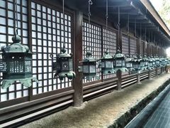 -奈良公园