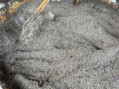 -清漾毛氏文化村