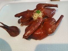 红烧乳鸽-顺峰(农展馆店)