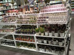 -KKV(深圳宏发大仟里店)