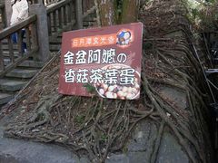 -金盆阿嬷香菇茶叶蛋(玄光店)