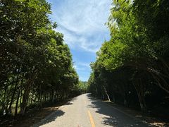 -九龙潭景区