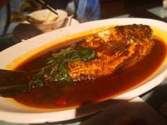 台灣鯛魚-C31地窖餐厅(黑龙江北路店)