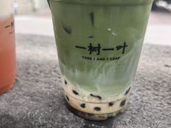 -一树一叶·福建茶档(石鼓路店)