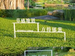 -云溪植物园