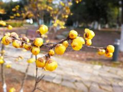 -白塘生态植物园