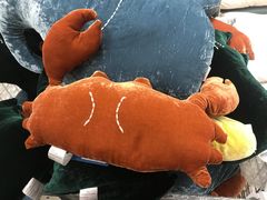 -BEAST野兽派(上海浦东嘉里城店)