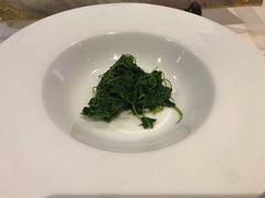 -诺莱仕游艇会