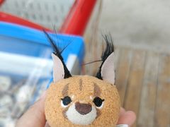 -青岛森林野生动物世界