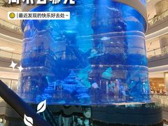 -观音桥步行街