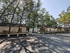 -东莞市大岭山森林公园