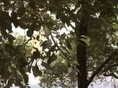 -中田·健身+普拉提(苗栗路店)