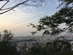-仙岳公园