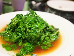 -蝶园·装修中(BFC外滩金融中心店)